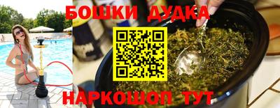 индика Кулебаки