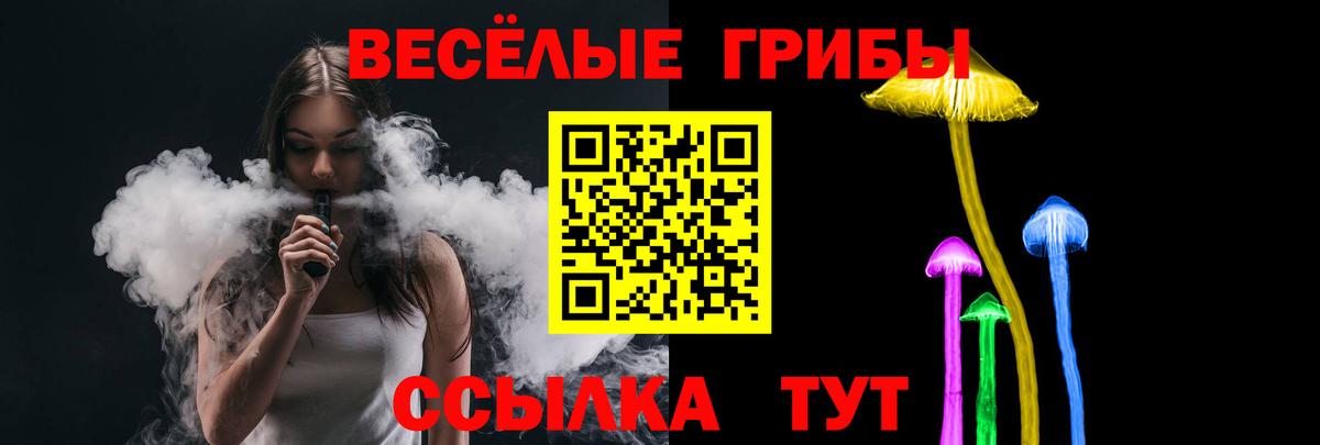 Псилоцибиновые грибы MAGIC MUSHROOMS  Вход с VPN  Звенигород 